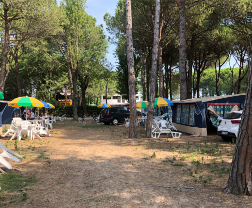 camping ca savio venue holidays tent